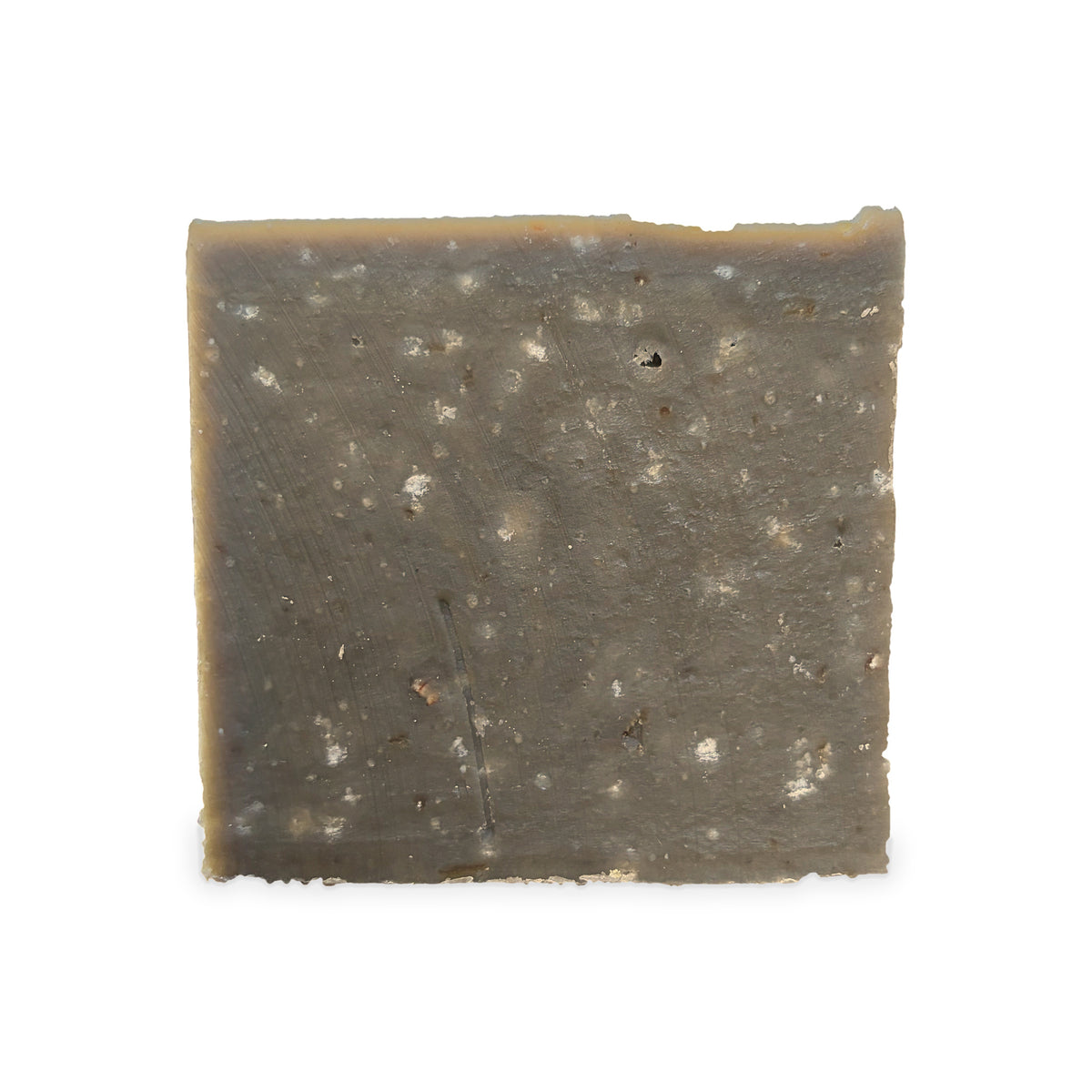 Wild Pine Tar beef tallow bar soap - bar detail